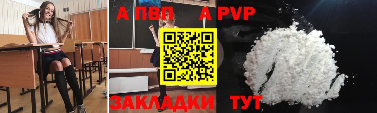 Alfa_PVP СК Заречный