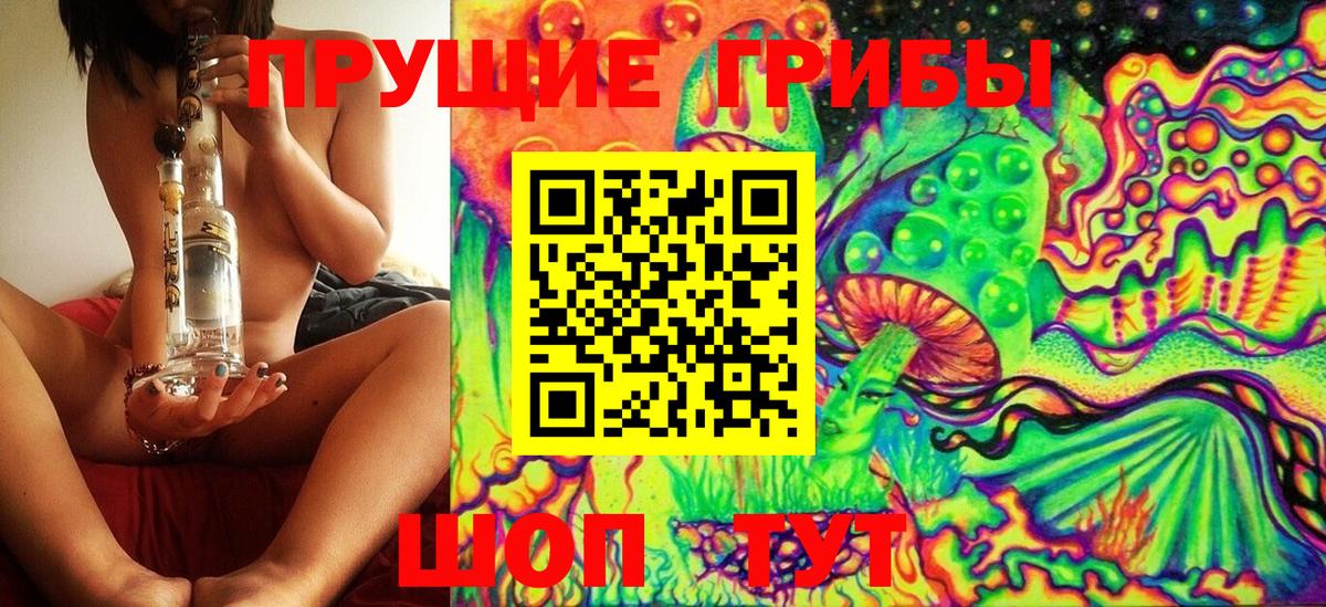 Галлюциногенные грибы Psilocybe  Вход с VPN  Заречный  Галлюциногенные грибы Psilocybine cubensis 