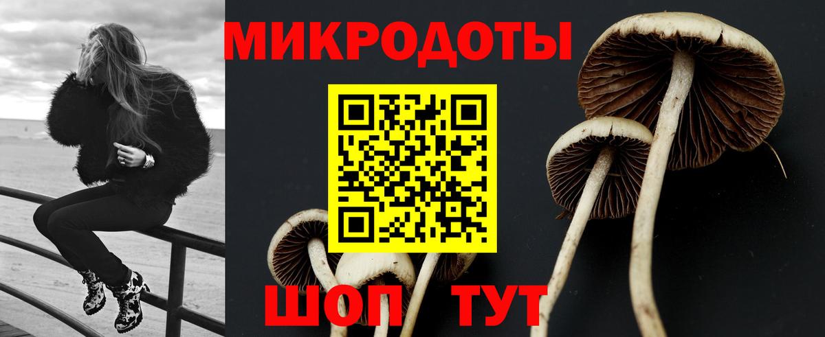 сколько стоит  Заречный  Псилоцибиновые грибы мухоморы 